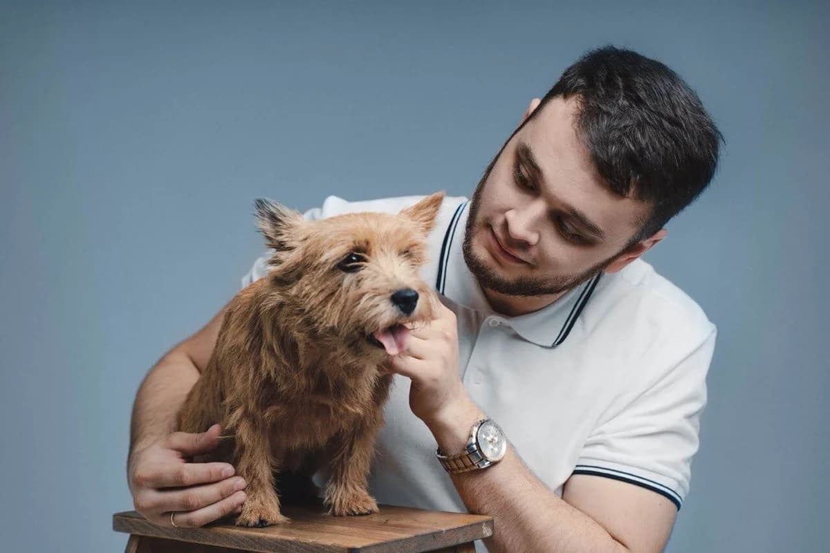 Ветеринар на дому